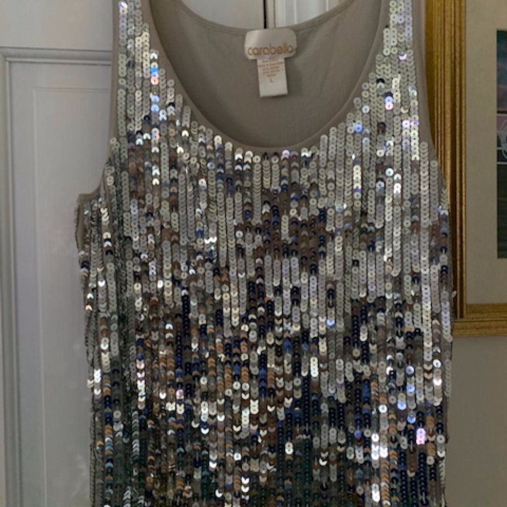fancy and shiny sparkly top